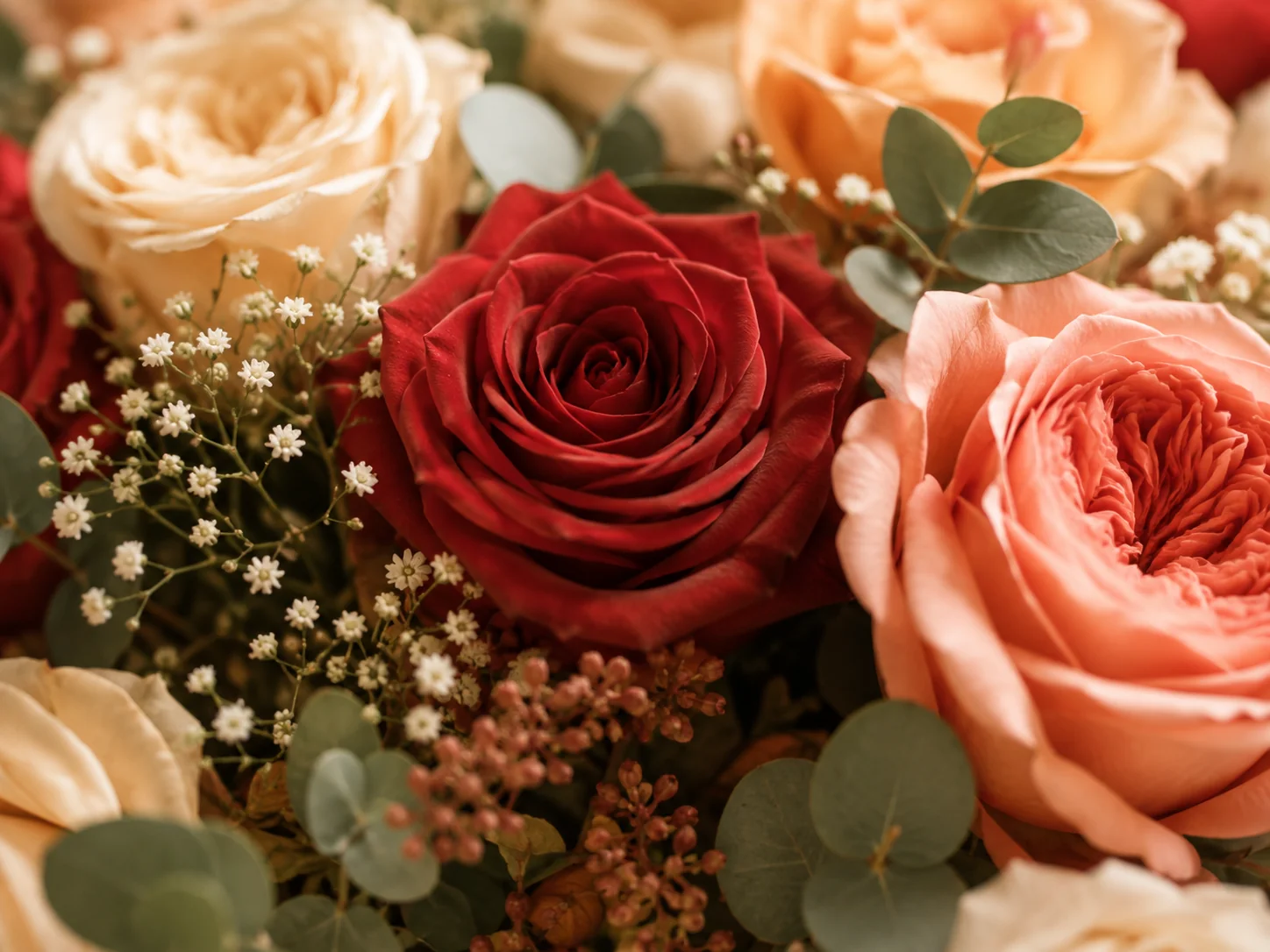 Оттенки роз